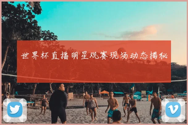 世界杯直播明星观赛现场动态揭秘