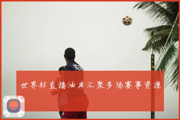 世界杯直播油库汇聚多场赛事资源
