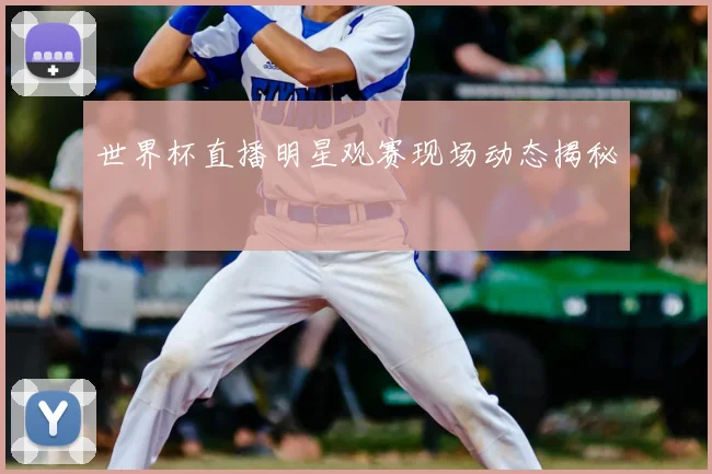 世界杯直播明星观赛现场动态揭秘